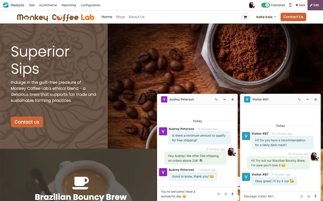 Odoo live chat widget on website homepage with real-time customer conversations